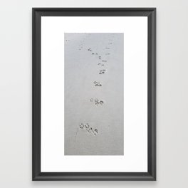 Dog Beach Framed Art Print