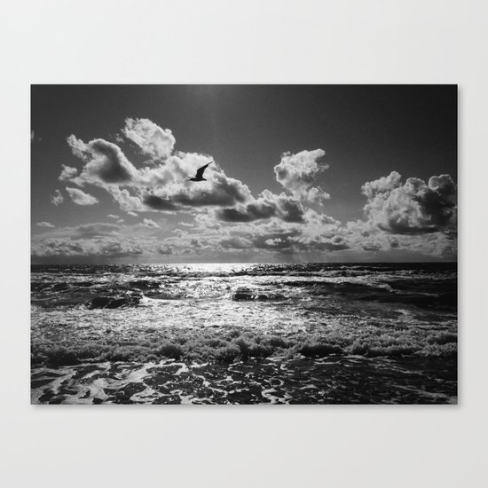 Seagull over sea Canvas Print
