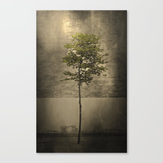 Once Upon a Tree Canvas Print