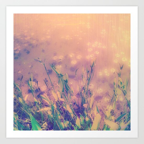 Lotus Pond and Spring Sunshine Art Print