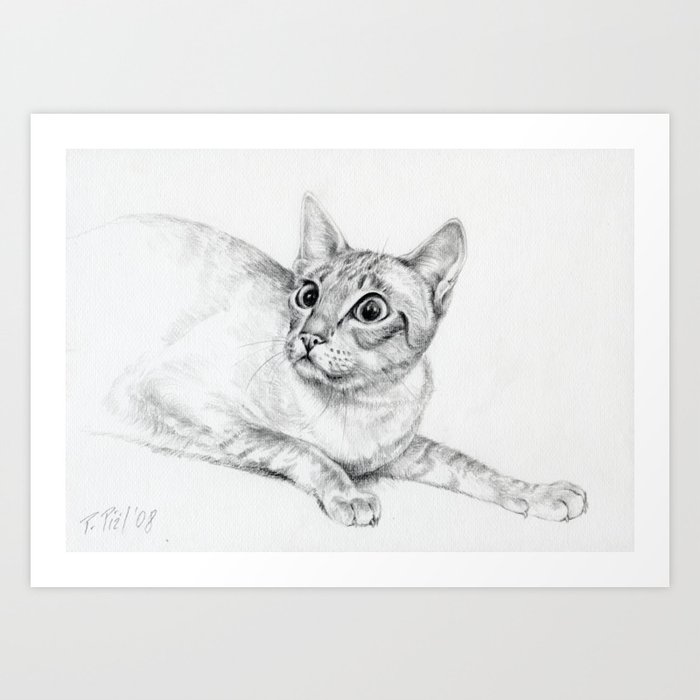 Siamese Cat Hunting Pencil Drawing Pet Illustration Decor For Cat