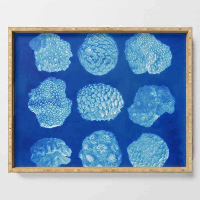 Fossil Corals Cyanotype Collection Serving Tray