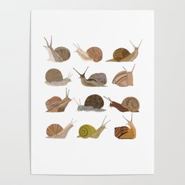 Snails Poster
