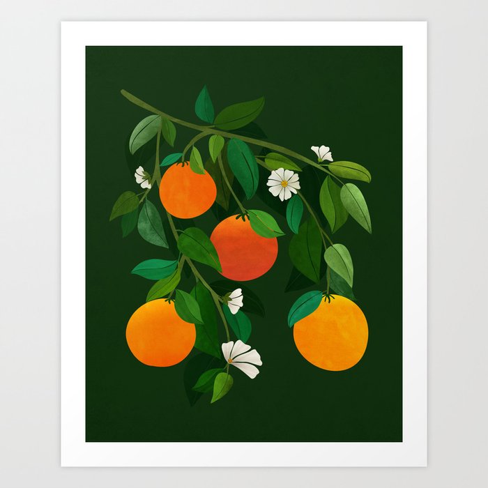 Oranges and Blossoms Botanical Illustration Art Print