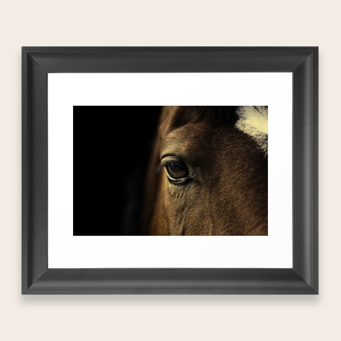 horse Framed Art Print by ingz Society6