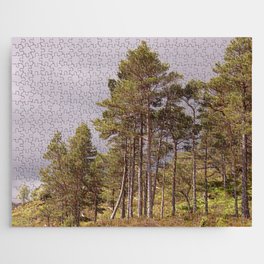 Scottish Highlands Summer Pine Trees Jigsaw Puzzle