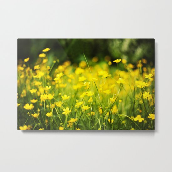 In The Meadow Metal Print