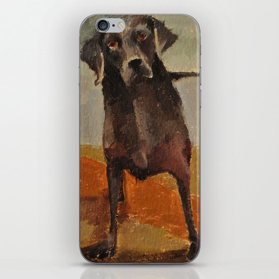 Funny Black Lab iPhone & iPod Skin