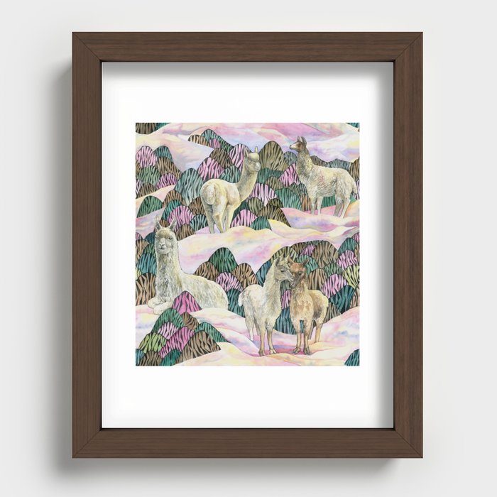 Lamas and Alpacas Recessed Framed Print
