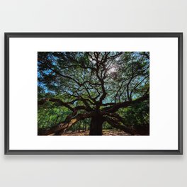 Tree of life Framed Art Print