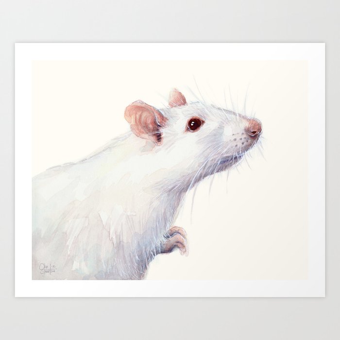 White Rat Watercolor Albino Rat Animal Art Print