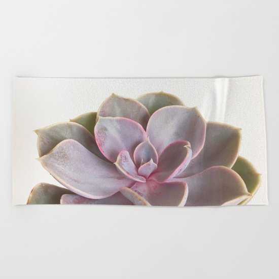 Purple Succulent Beach Towel