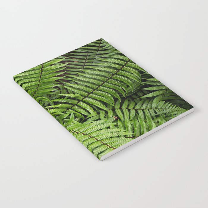 Wood Fern in a Pacific Northwest Washington Forest Notebook