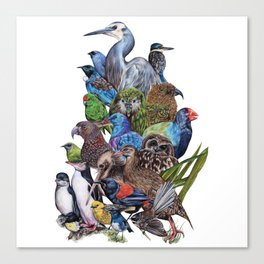 Perchin - NZ Birds Canvas Print