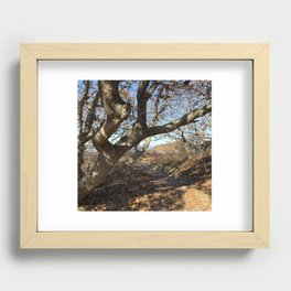 Under the branch Recessed Framed Print