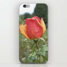 Rose iPhone Skin