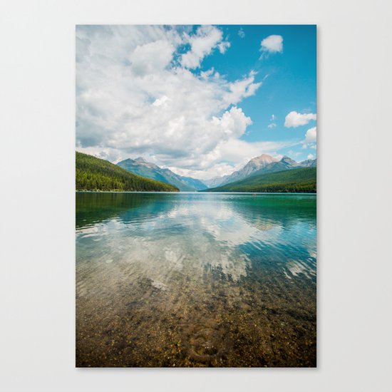nature life Canvas Print
