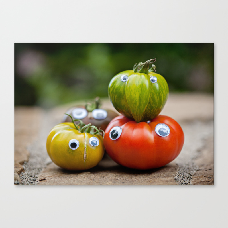 You Say Tomato I Say Tomato Canvas Print By Hollidunn Society6
