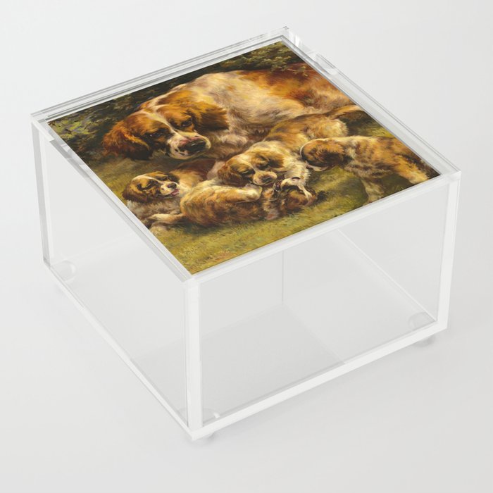 Setter Family by Edmund Henry Osthaus Acrylic Box