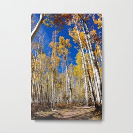Enchiladas in the Trees 1 Metal Print | Nature, Photo, Landscape 