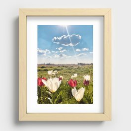 Tulip Dreams Photography Recessed Framed Print