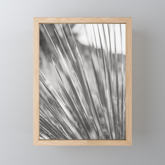 Desert Botanicals - Texas Photography Framed Mini Art Print