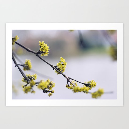 Every flower is a soul blossoming in nature Art Print