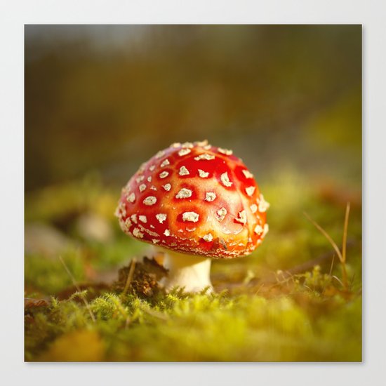 Amanita Canvas Print