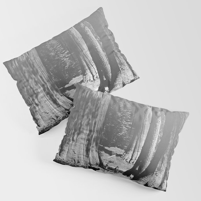Vintage Walking amid the California Redwood Giants on a sunny forest afternoon nature black and white photograph - photography - photographs Pillow Sham
