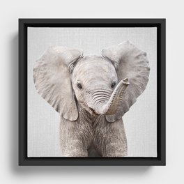 Baby Elephant - Colorful Framed Canvas