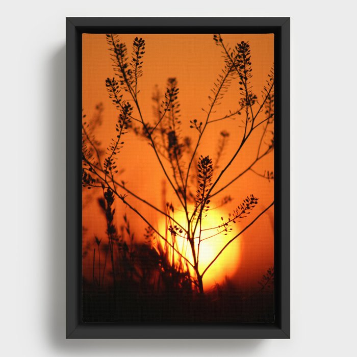 Goodnight Sun Framed Canvas