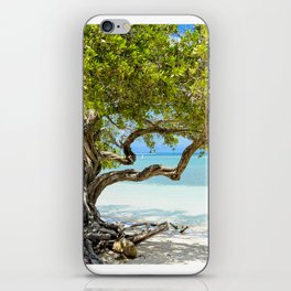Paradise Beneath The Divi Tree - Aruba iPhone Skin