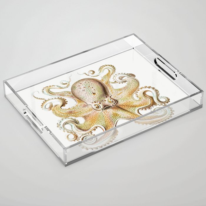 Vintage marine octopus - sandy shores Acrylic Tray