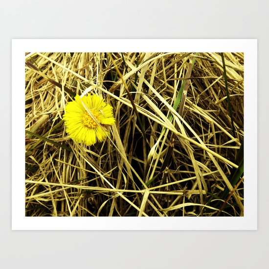 One Little Wish Art Print