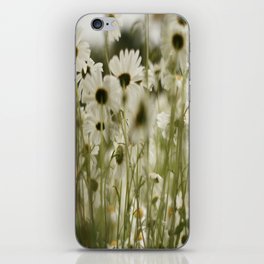 white daisies :) iPhone Skin
