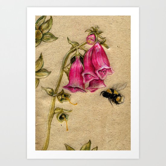 Bumble Bee Art Print