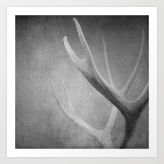 Antlers Art Print