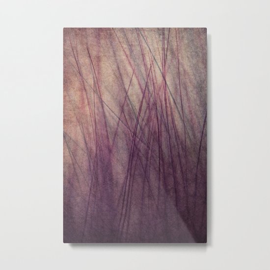 Feathered II Metal Print