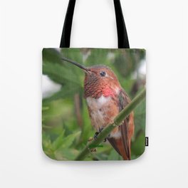 Hummingbird in the Japanese Maple Tote Bag