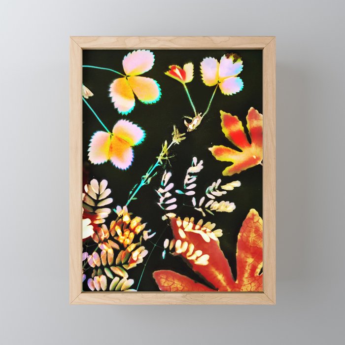 Magic Garden Lumen No.4 Framed Mini Art Print