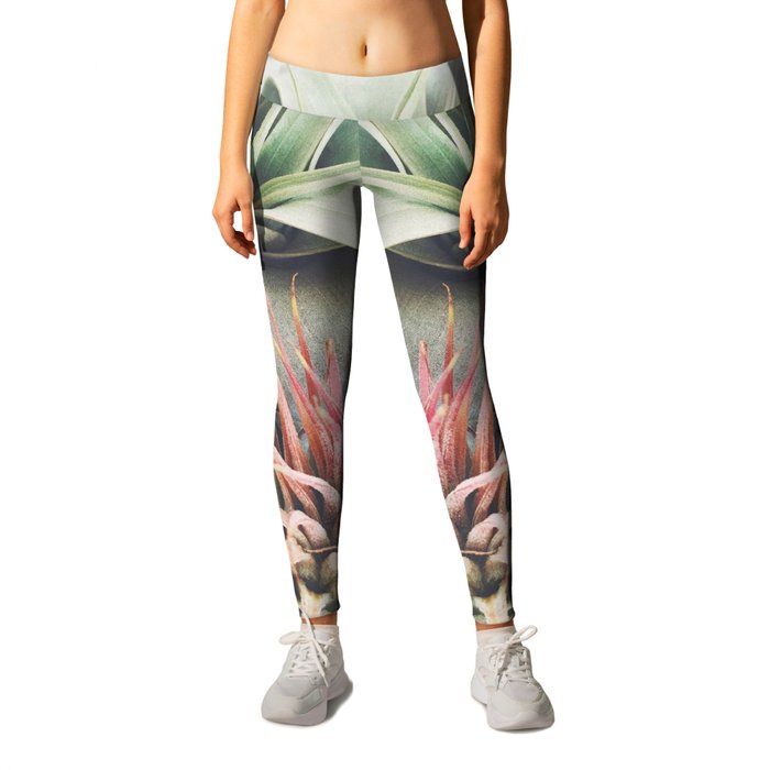 Air Plant Collection III Leggings