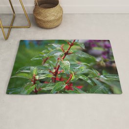 Interesting plant Rug