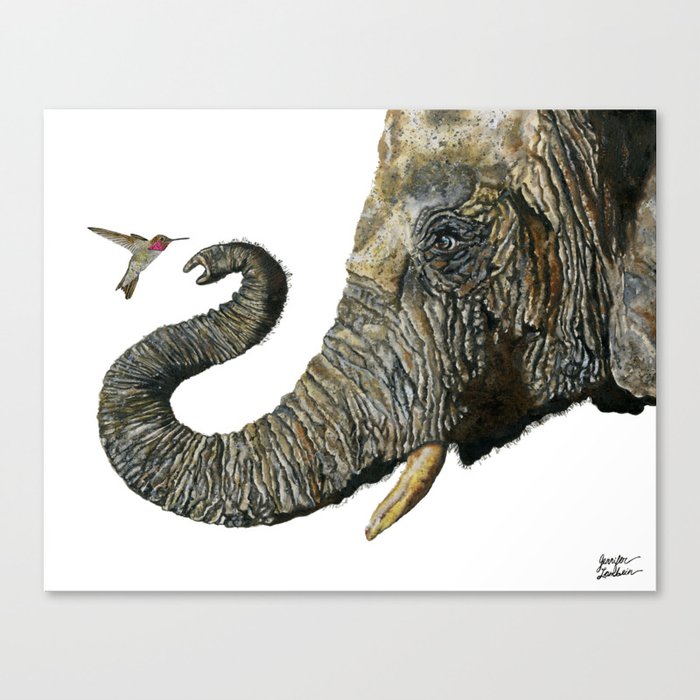 Elephant Cyril And Hummingbird Ayre 2 Canvas Print