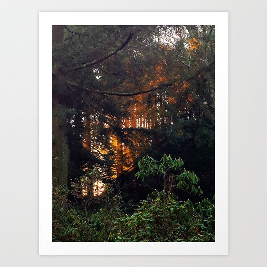 Hunting The Sunrise Art Print
