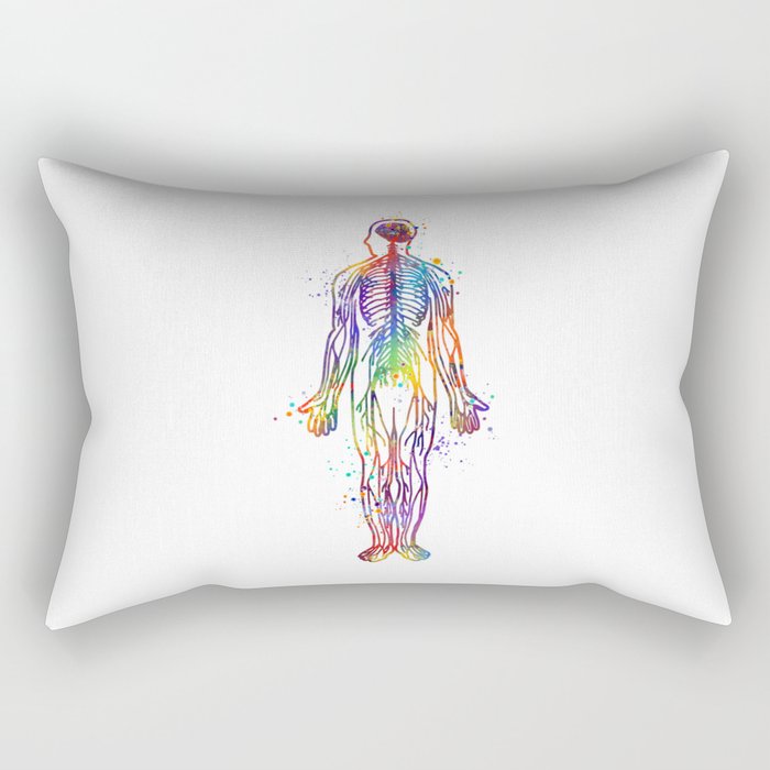 Human Body With All Nerves Art Gift Anatomy Gift Colorful ...