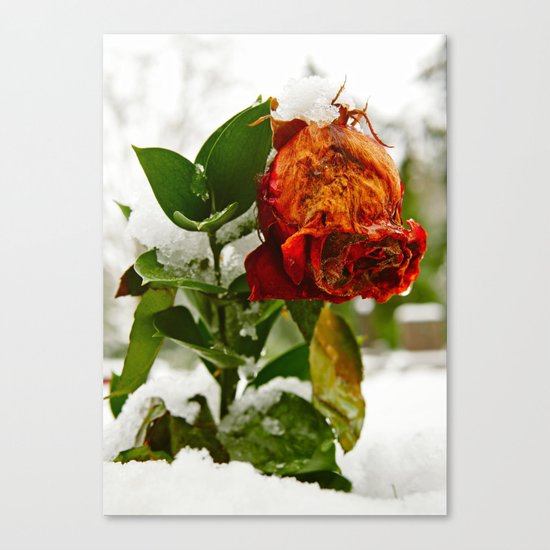 Frozen love Canvas Print