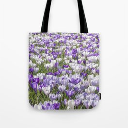 White and purple crocuses art print- dutch spring flowers, veri peri floral nature photography  Tote Bag