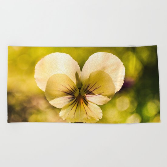Viola flower Beach Towel