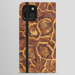Young dragon skin iPhone Wallet Case