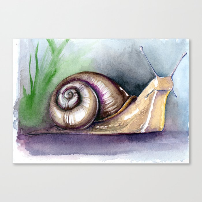 Snail Canvas Print